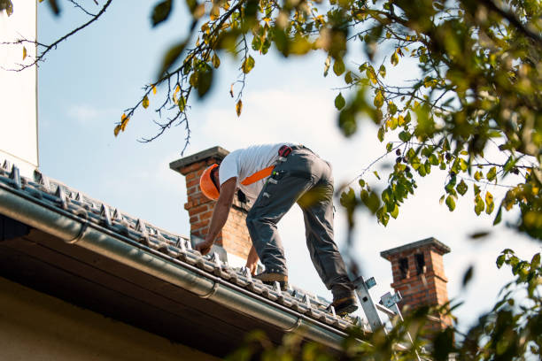 Professional Roofing Contractor in Belleair Beach, FL